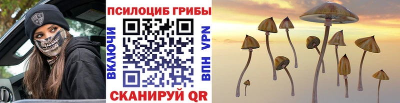 Купить где  Новочебоксарск  Галлюциногенные грибы Magic Shrooms 